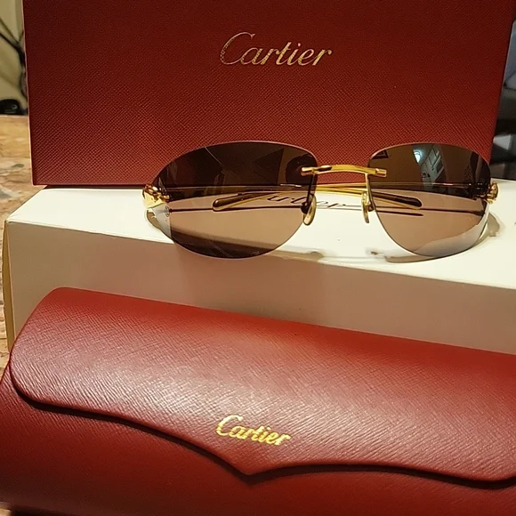 Cartier Sunglasses Level 3 Cartier Première CT0363S Sunglasses 003 Shiny Gold - eye-oo.com main image 3